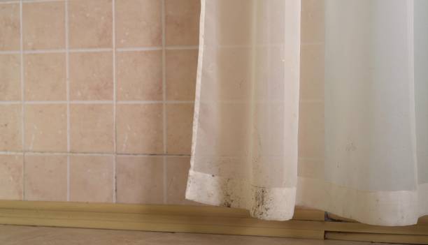 Best Mold Prevention Services  in Wappingers Falls, NY