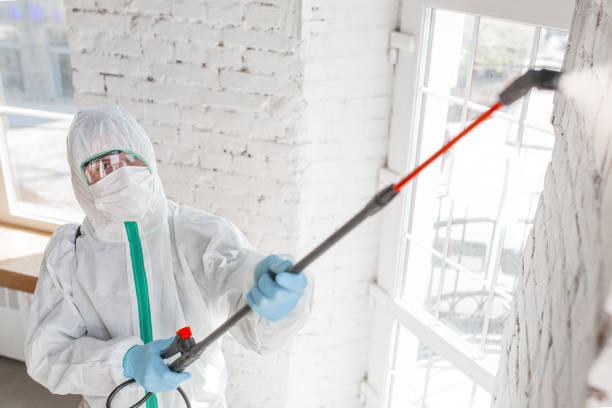 Best HVAC Mold Inspection and Cleaning  in Wappingers Falls, NY