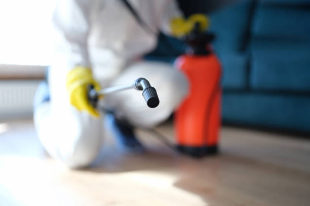 Trusted Wappingers Falls, NY Mold Removal Experts