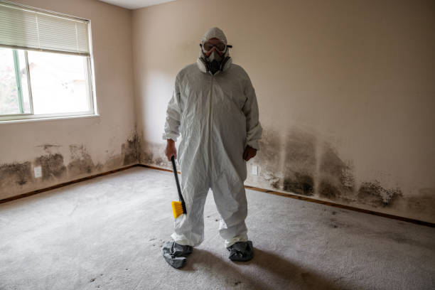 Best Commercial Mold Inspection  in Wappingers Falls, NY